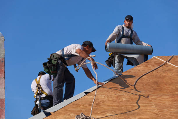 Best Gutter Installation and Roofing  in Morgandale, OH